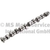 Nockenwelle KOLBENSCHMIDT 50006284