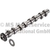 Nockenwelle Auslassseite KOLBENSCHMIDT 50007074