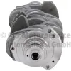 Kurbelwelle KOLBENSCHMIDT 50030021 Bild Kurbelwelle KOLBENSCHMIDT 50030021