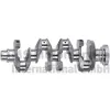 Kurbelwelle KOLBENSCHMIDT 50030032 Bild Kurbelwelle KOLBENSCHMIDT 50030032