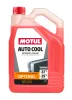 Frostschutz MOTUL 112621
