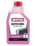 Frostschutz MOTUL 112650