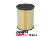 Luftfilter CoopersFiaam FL9154