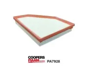 Luftfilter CoopersFiaam PA7928