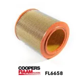 Luftfilter CoopersFiaam FL6658