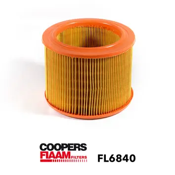 Luftfilter CoopersFiaam FL6840