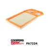 Luftfilter CoopersFiaam PA7224