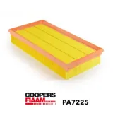 Luftfilter CoopersFiaam PA7225