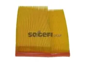 Luftfilter CoopersFiaam PA7230