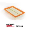 Luftfilter CoopersFiaam PA7538