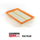 Luftfilter CoopersFiaam PA7538