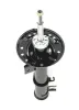 Stoßdämpfer Vorderachse links NPS F490T02 Bild Stoßdämpfer Vorderachse links NPS F490T02