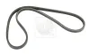 Keilrippenriemen NPS H111A14