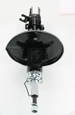 Stoßdämpfer Hinterachse links NPS H490I89