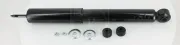 Stoßdämpfer Hinterachse NPS M490I128T