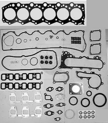 Dichtungsvollsatz, Motor NPS T126A136