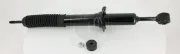 Stoßdämpfer Vorderachse NPS T490A388T