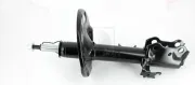 Stoßdämpfer Vorderachse rechts NPS T490A434T