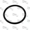 Dichtung, Thermostat FISPA 94.01665