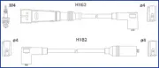 Zündleitungssatz HITACHI 134701