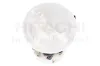 Kraftstoff-Fördereinheit HITACHI 2503133 Bild Kraftstoff-Fördereinheit HITACHI 2503133