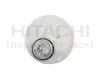 Kraftstoffpumpe HITACHI 2503178 Bild Kraftstoffpumpe HITACHI 2503178