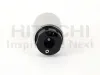 Kraftstoffpumpe HITACHI 2503191 Bild Kraftstoffpumpe HITACHI 2503191