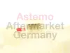 Sensor, Kraftstoffvorrat ASTEMO-HITACHI 2503575 Bild Sensor, Kraftstoffvorrat ASTEMO-HITACHI 2503575