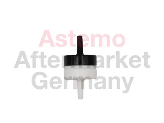 Rückschlagventil ASTEMO-HITACHI 2509317 Bild Rückschlagventil ASTEMO-HITACHI 2509317