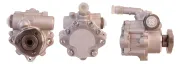 Hydraulikpumpe, Lenkung DRI 715520098
