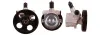 Hydraulikpumpe, Lenkung DRI 715520264