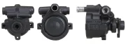 Hydraulikpumpe, Lenkung DRI 715520251
