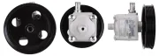 Hydraulikpumpe, Lenkung DRI 715520273