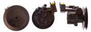 Hydraulikpumpe, Lenkung DRI 715521137