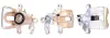 Bremssattel Hinterachse rechts hinter der Achse DRI 4218900 Bild Bremssattel Hinterachse rechts hinter der Achse DRI 4218900