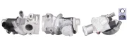 AGR-Ventil DRI 717730191