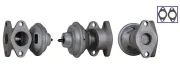 AGR-Ventil DRI 717710334