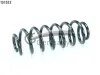 Fahrwerksfeder Hinterachse CS Germany 14.101.553