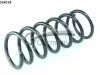 Fahrwerksfeder Hinterachse CS Germany 14.504.194