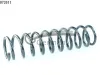 Fahrwerksfeder Hinterachse CS Germany 14.872.611