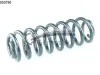 Fahrwerksfeder Hinterachse CS Germany 14.950.790