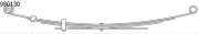 Federnpaket Hinterachse CS Germany 10.980.130.00