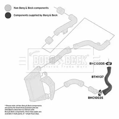 Ladeluftschlauch BORG & BECK BTH1137 Bild Ladeluftschlauch BORG & BECK BTH1137
