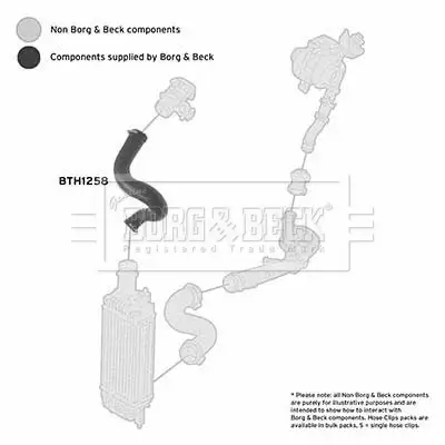 Ladeluftschlauch BORG & BECK BTH1258 Bild Ladeluftschlauch BORG & BECK BTH1258