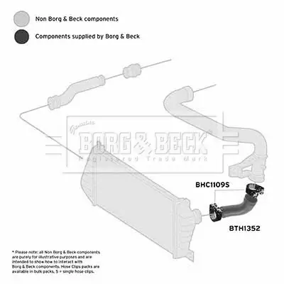 Ladeluftschlauch BORG & BECK BTH1352 Bild Ladeluftschlauch BORG & BECK BTH1352