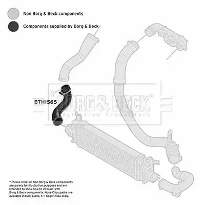 Ladeluftschlauch BORG & BECK BTH1565 Bild Ladeluftschlauch BORG & BECK BTH1565