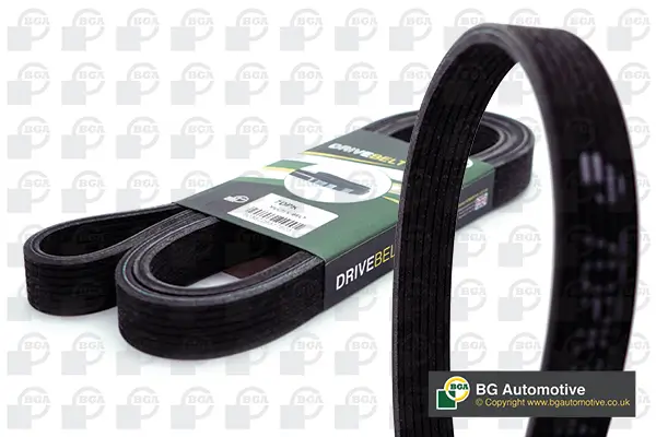 Keilrippenriemen BGA 7DPK2950