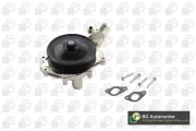 Wasserpumpe, Motorkühlung BGA CP4209H