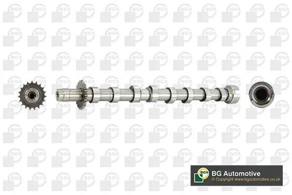 Nockenwelle Auslassseite BGA CS5524