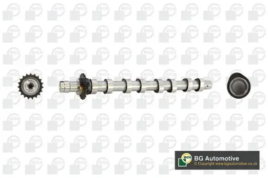 Nockenwelle BGA CS5531 Bild Nockenwelle BGA CS5531